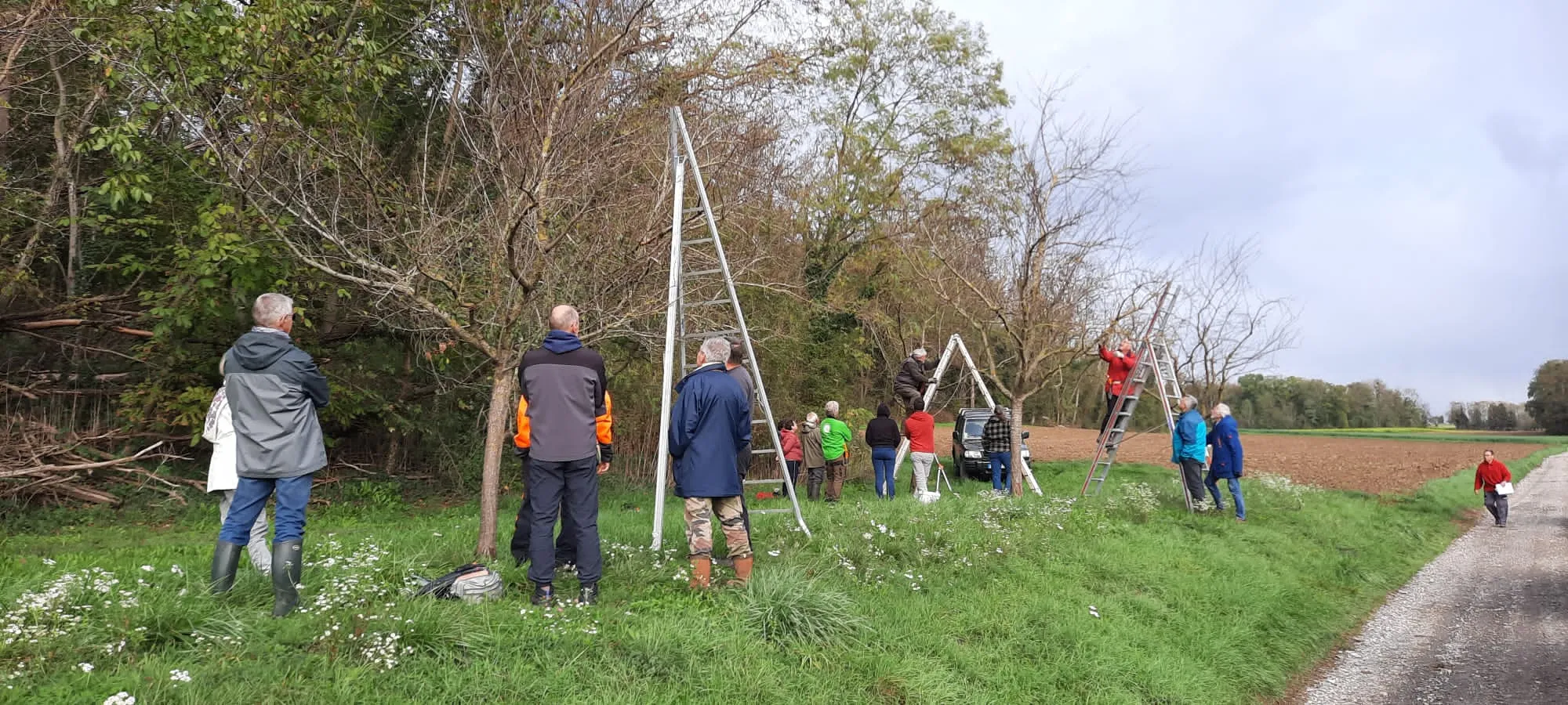 Les participants réunis autour d’un arbre pour une démonstration de taille
