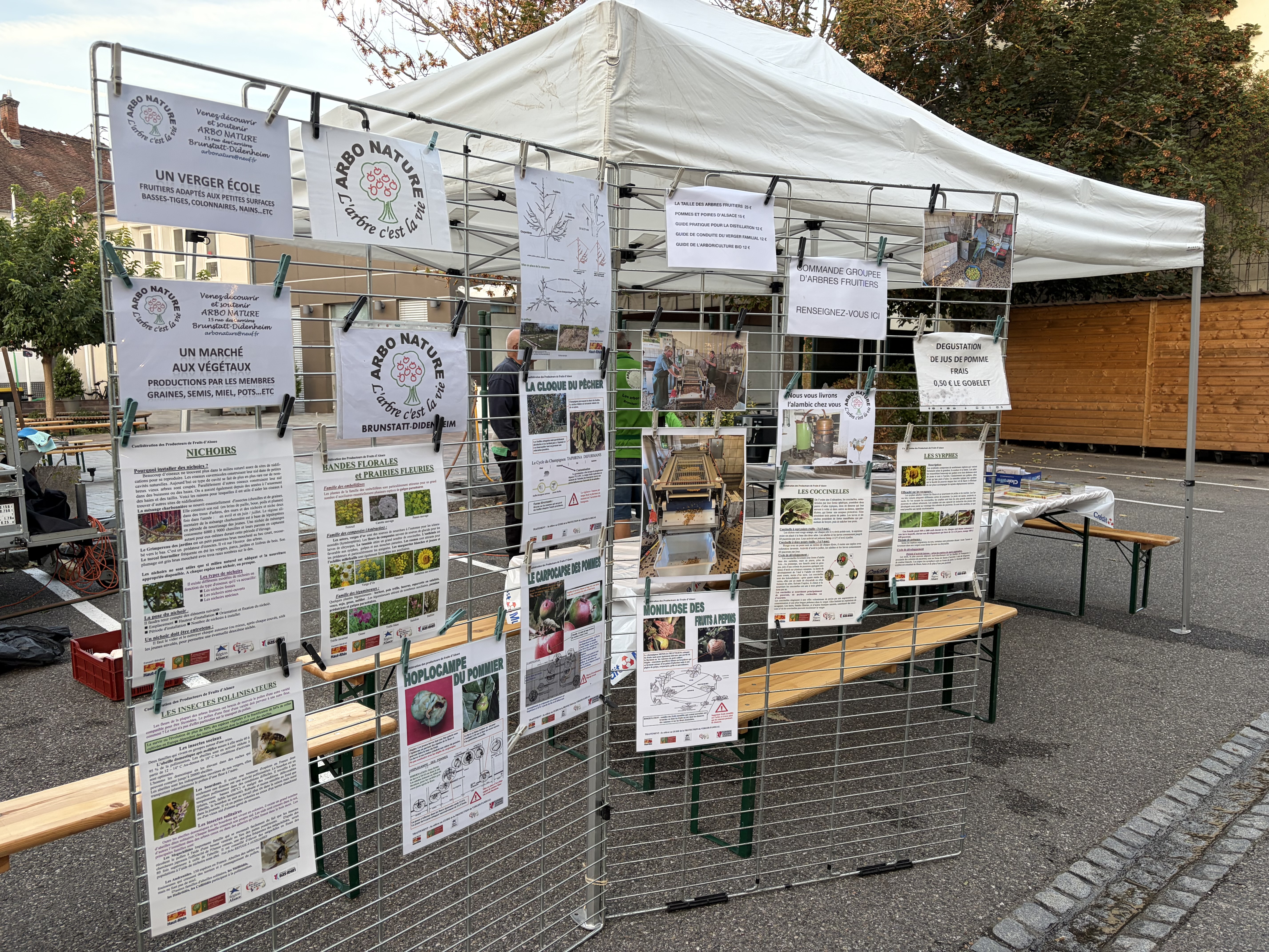 Le stand Arbo Nature et ses panneaux de présentation à la Fête des Rues